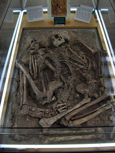 Here are skeletons of men of Grimaldi in the museum of Monaco. We can see that the inferior jaw is forwarded, characteristic found only on Black people. This is called ‘prognathism’.