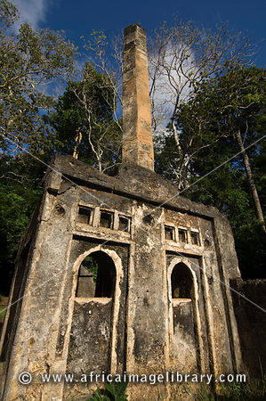 Gedi