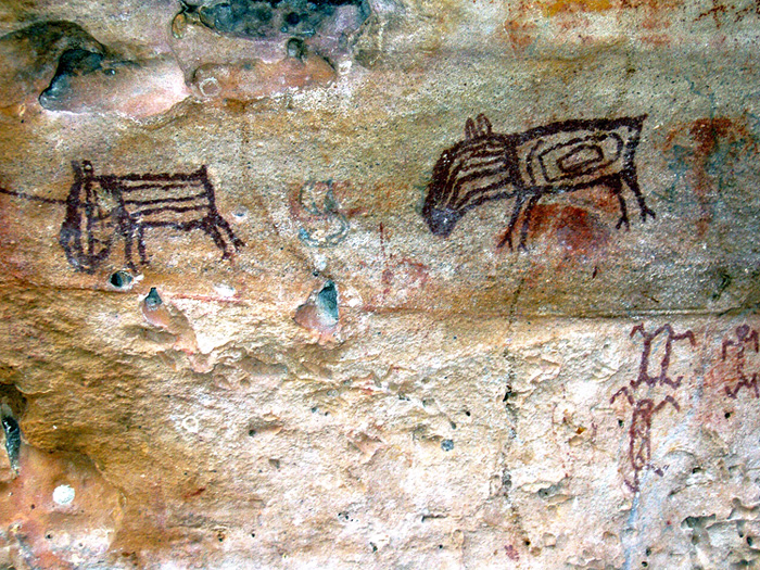 Wall Paints at Pedra Furada Source : Bradshaw Foundation 