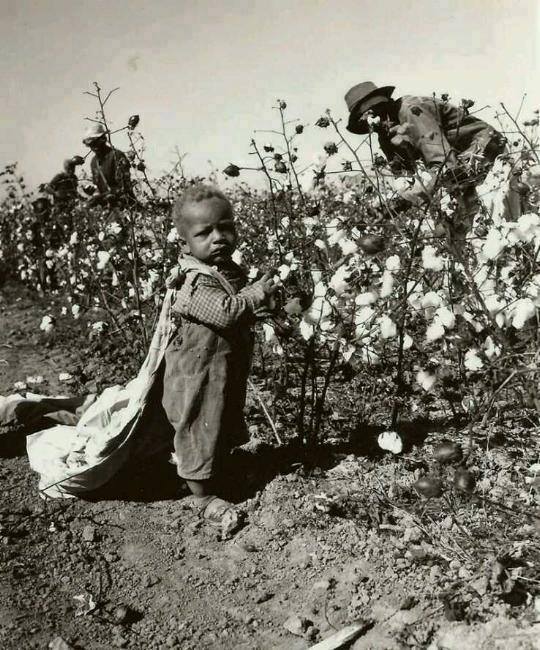 African child enslaved in a cotton field, USA