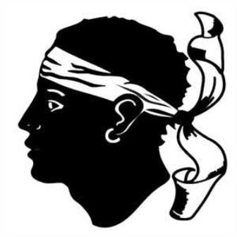 Moor head on the Corse flag in France