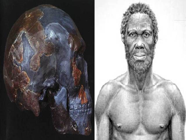 Le Crane et la reconstitution du plus ancien homme moderne Homo Sapiens apparu en Afrique il y a 200000 ans